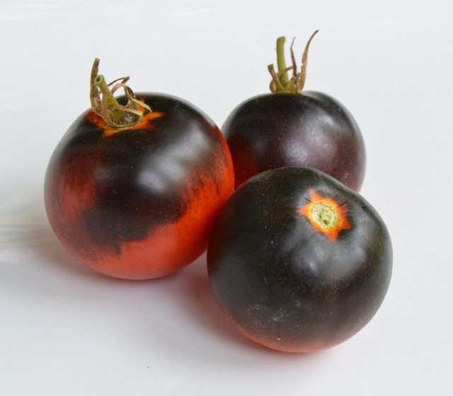 Ketchup aus Tomaten als Bestandteil eines Gerichts, bretonische Spezialität, Bretagne Allerlei, BZH